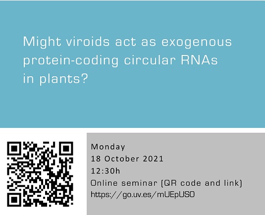 Might viroids act as exogenous protein-coding circular RNAs in plants?